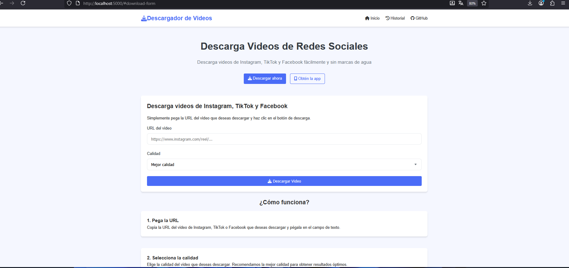 Social Media Downloader - Proceso de Descarga